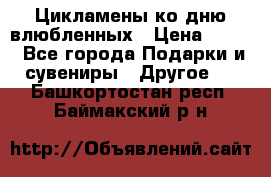 Цикламены ко дню влюбленных › Цена ­ 180 - Все города Подарки и сувениры » Другое   . Башкортостан респ.,Баймакский р-н